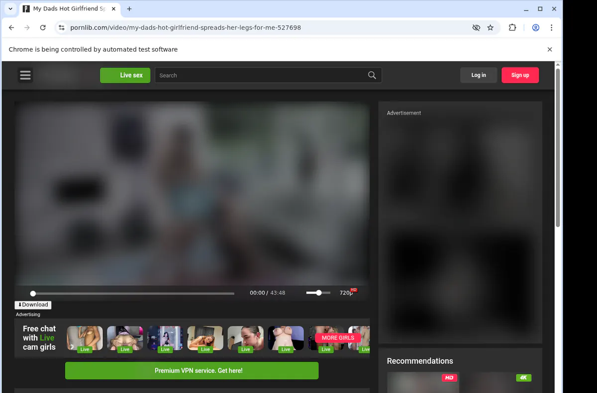 Pornlib Video Downloader screenshot 2