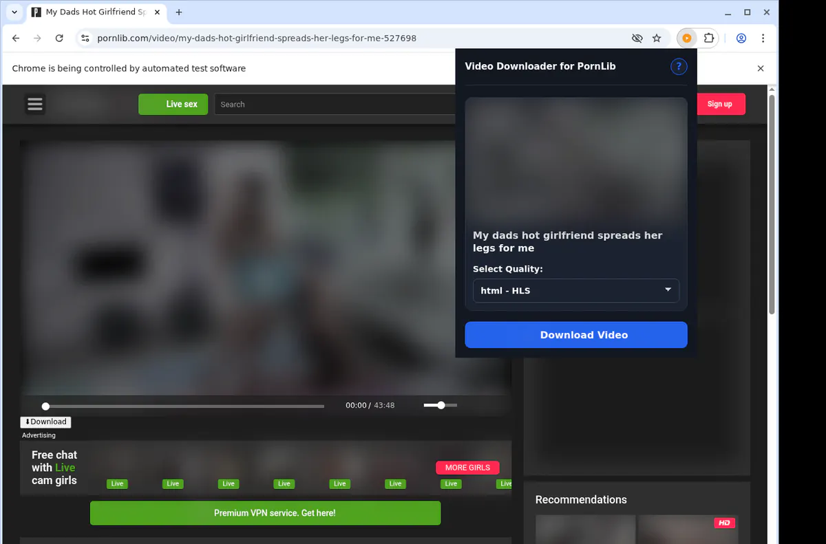 Pornlib Video Downloader screenshot 3