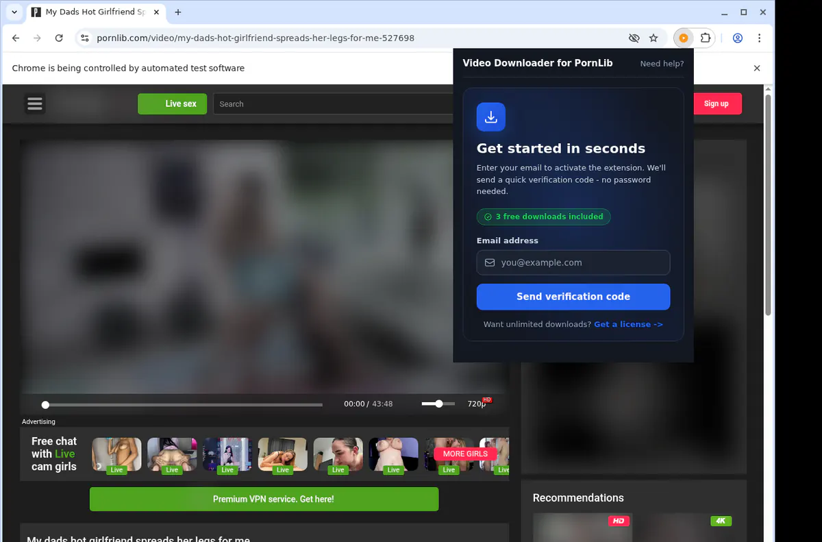 Pornlib Video Downloader screenshot 5